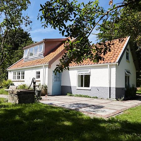 Cottage Duinroos - Dune Rose Оостворне Екстериор снимка
